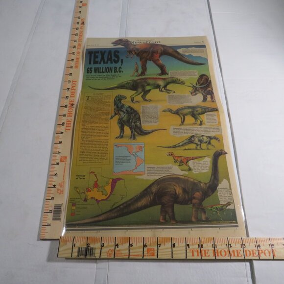 Dinosaur Classroom (8) LAMINATED posters Bulletin Board - Picture 8 of 11